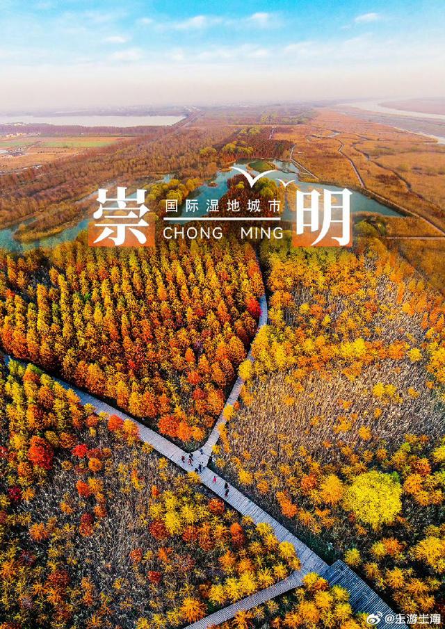 一组海报解锁国际认证的湿地天堂！
