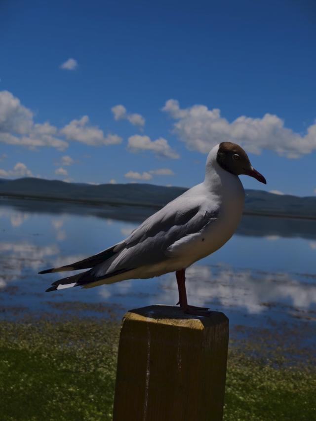 世界上只有甘肃才有的12大绝美景点