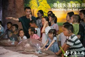 安徽合肥：地质博物馆内欢度暑假图片