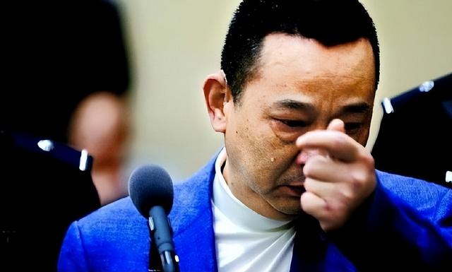 2015年四川刘汉被判死刑，押到火葬场抬进执行车，离开时神情恍惚