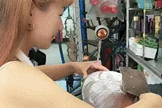 男子相亲：餐厅里的她，不仅气质出众，还让我心动不已！图片