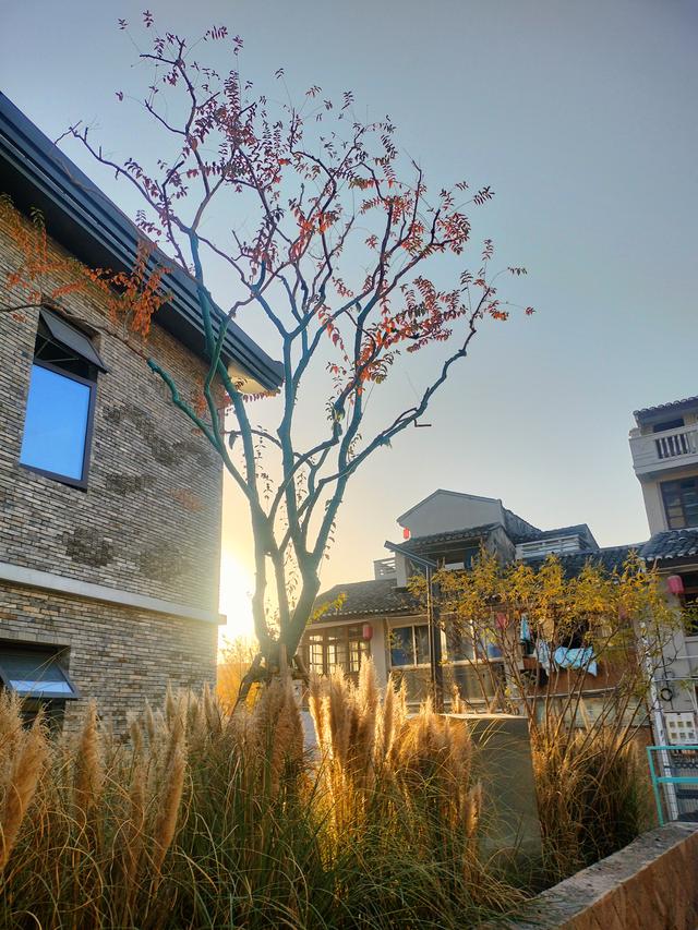 瓯越风情（四）：瑞安·文脉深流与赤心永续