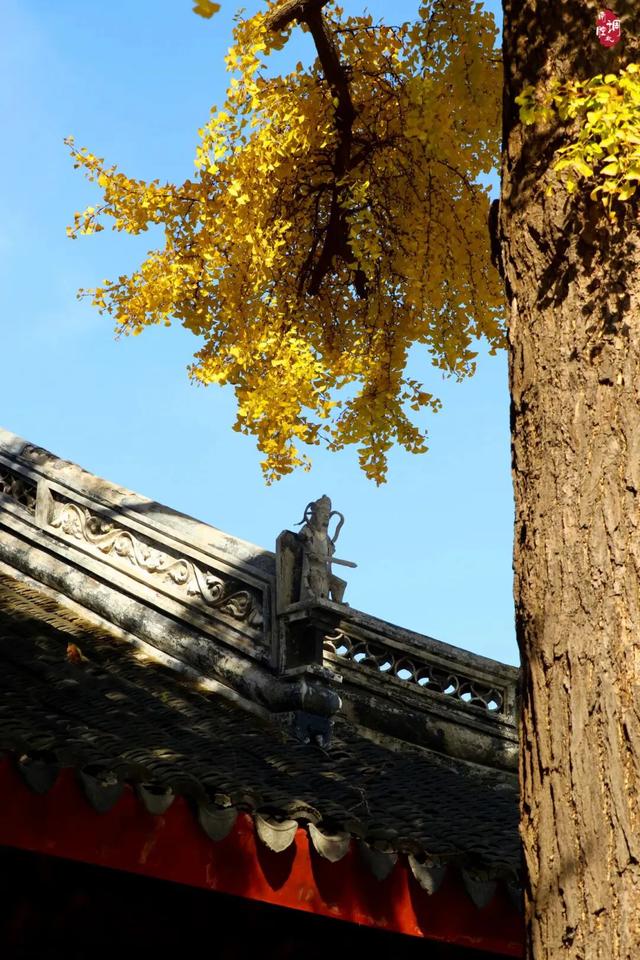 抓住秋天的尾巴！出发苏州这5个赏秋圣