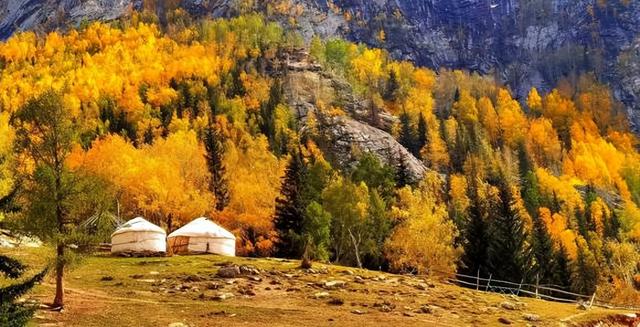 程传军 | 行走北疆