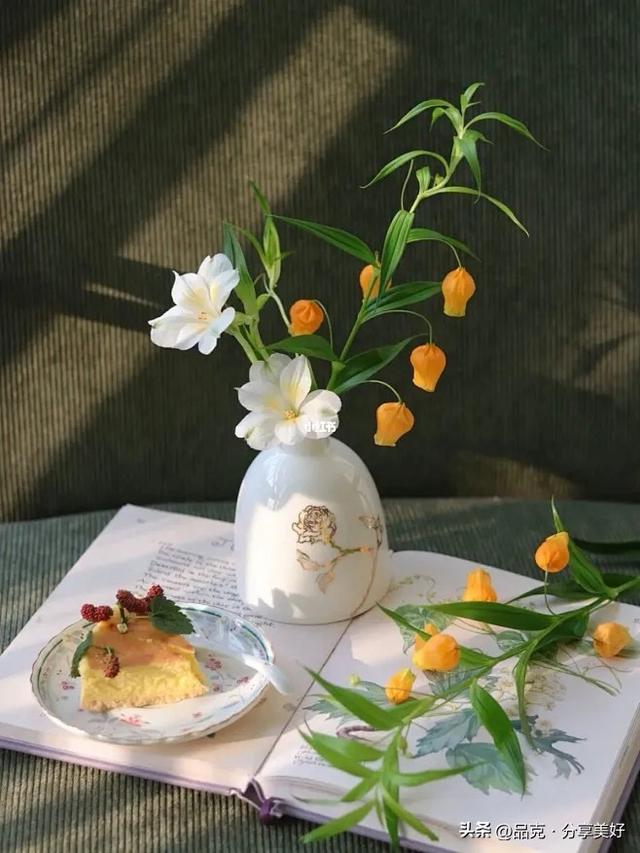 冬藏有期，幸有回甘