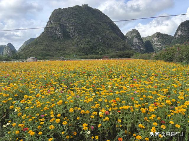 2025年广西百色、靖西自驾游