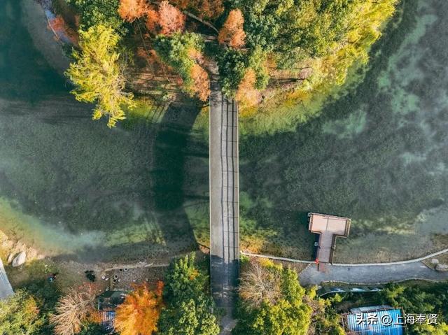 漫步河畔•贤美生活