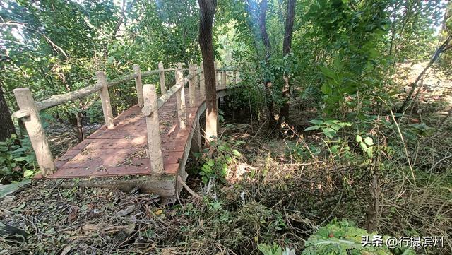 【行摄滨州】沾化古城现状