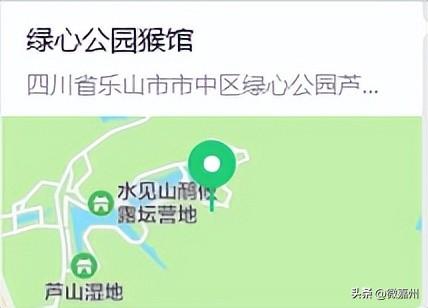 元旦去哪儿？｜1月1日恢复营业，游园攻略请查收