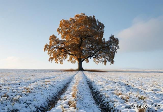 “上午立冬冻死牛，下午立冬暖烘烘”，今日立冬不一般，有啥说法