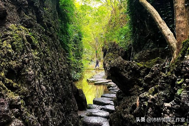 喀斯特地貌水上石林：历史与生态的双重奇观