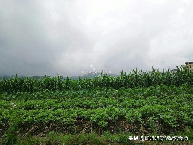 游客在清远连州遇雨：误打误撞进千年古村，南汉“宰相”后人聚居