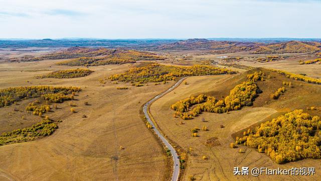 坝上寻秋续：一场穿越乌兰布统彩林的漫记