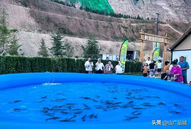 这个夏天 无需远行 大禹渡禹王台太空舱露营地给你一个清凉的夏日。