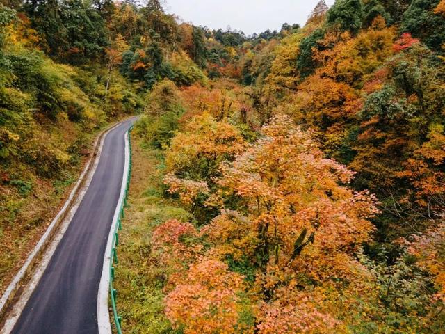 秋假第一站，就定这里！这片绝美彩林人少景美，速来赏秋！
