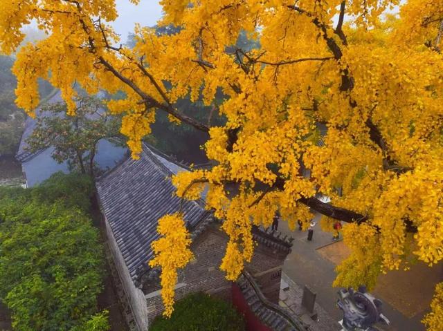 壮观！震撼！很多人都去看了！就在日照这里！