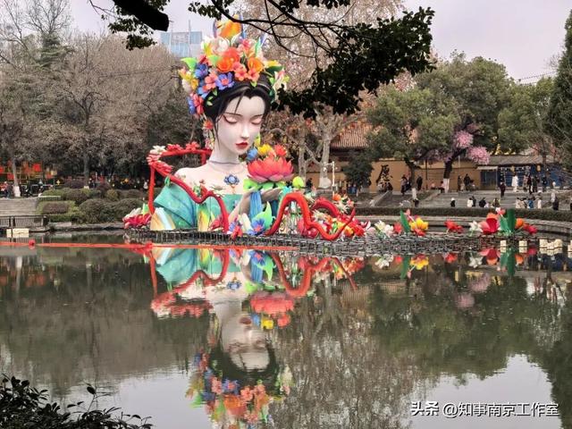 当整个南京都在追光，我在白鹭洲等一场灯与影的相逢