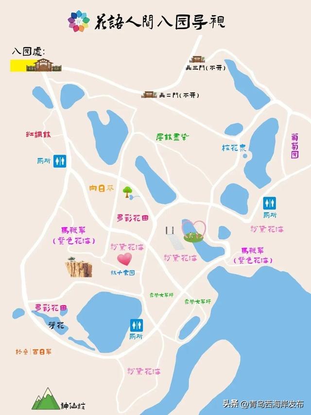 送票！西海岸这片梦幻花海开了！