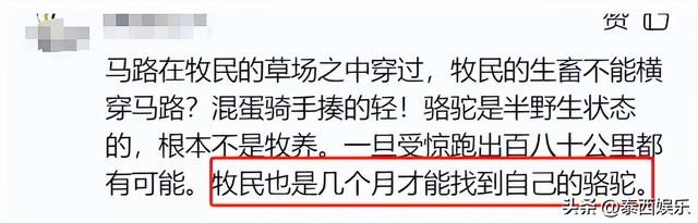 反转！游客被青海牧民殴打，是游客有错在先，7只骆驼遭惊吓丢失