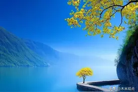 焦虑症感悟：凡所有相，皆为虚妄图片