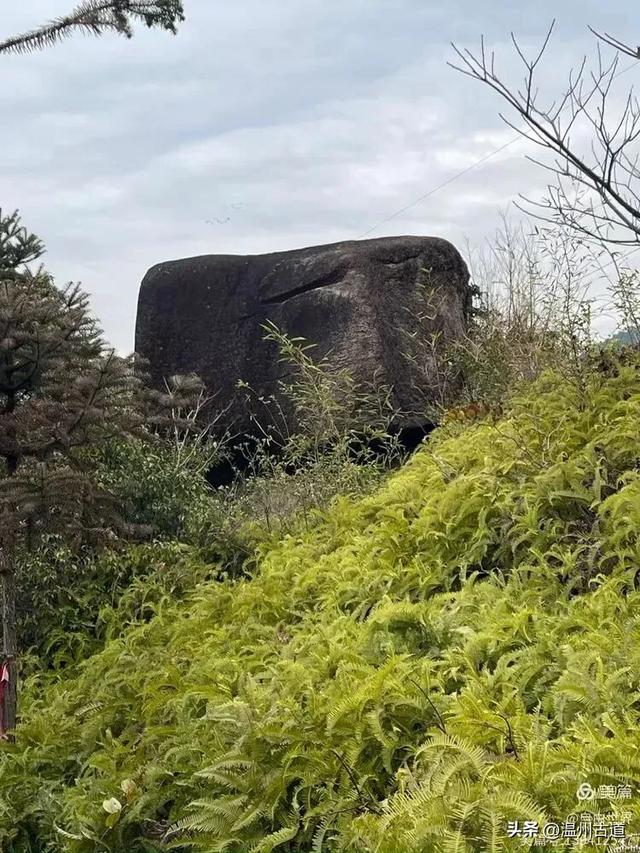 一步一景，奇石不断！温州这处奇石纷呈的的免费景区你可去过？