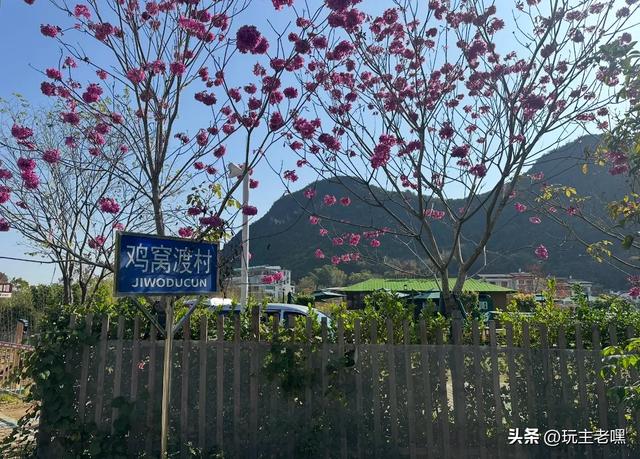 两广避寒10，鸡窝渡