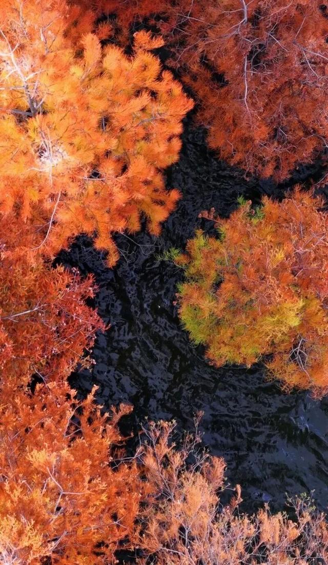 冬天在大理，要做这10件事！