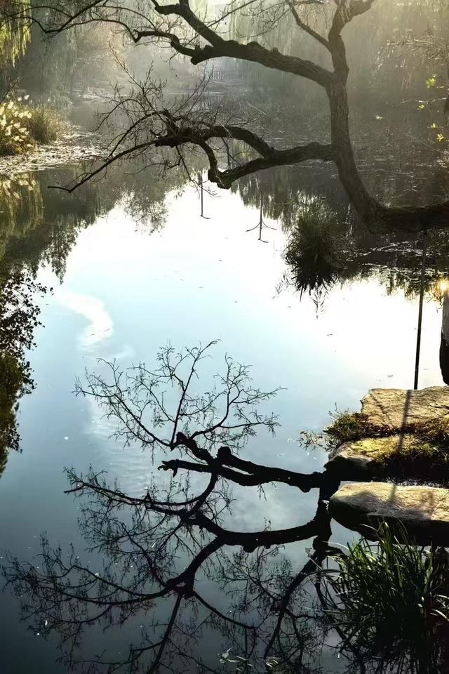 小雪｜冬意初临时，风物成画，岁月如诗