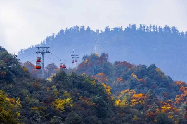 免票！成都及周边多个景区最新免费活动来啦！