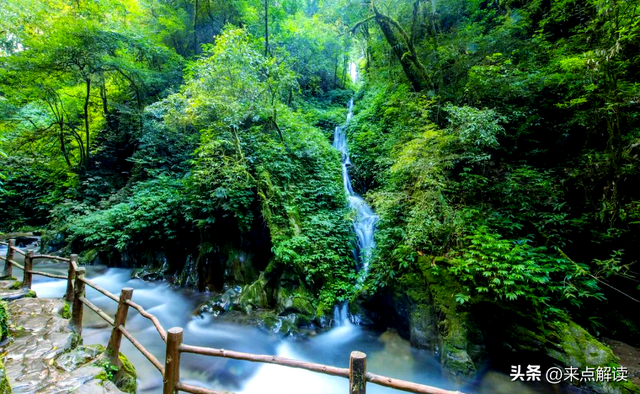 官宣即停办！哀牢山赛事闹剧，暴露文旅流量焦虑的致命陷阱