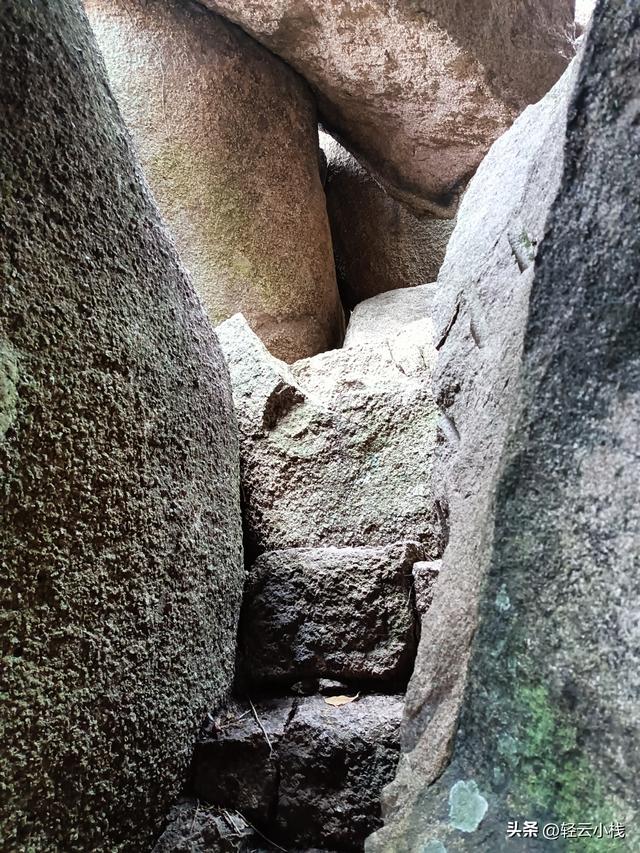 灵山石树感触到的（一）