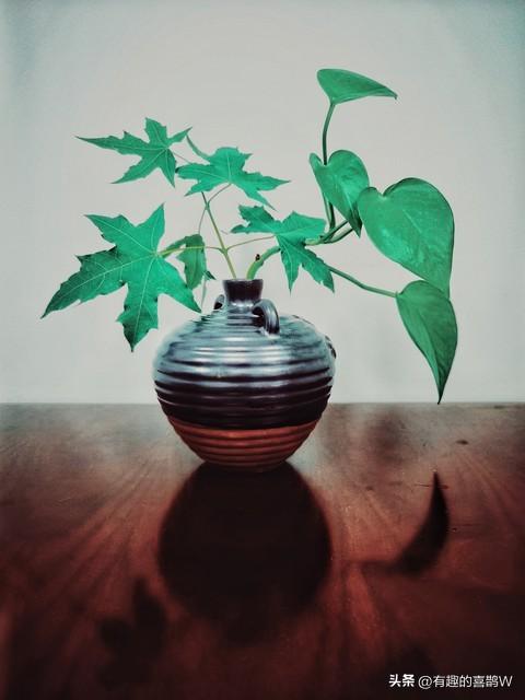 时间在感情里，是个诚实的“拆谎家”