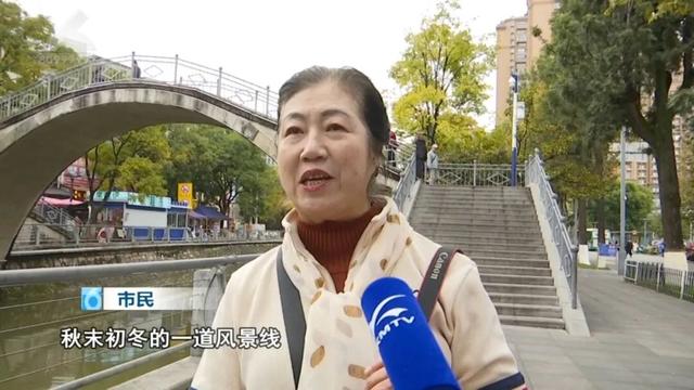 冬天的昆明，盛满了温柔的金黄色