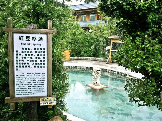 年假清零倒计时，该出发了！把最后几天留给韶关的彩林山水