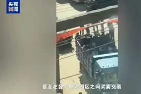 “园区里都是铁栏杆，到处都喷溅血迹”！缅北电诈犯罪细节曝光图片