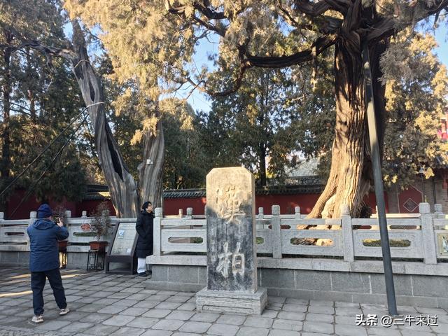 无为在歧路，二十四登泰山2