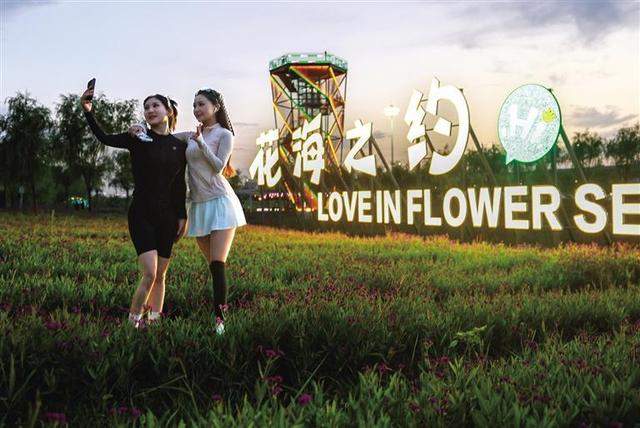 呼和浩特：初秋时节花正艳！来大黑河郊野公园与花海赴一场约会吧