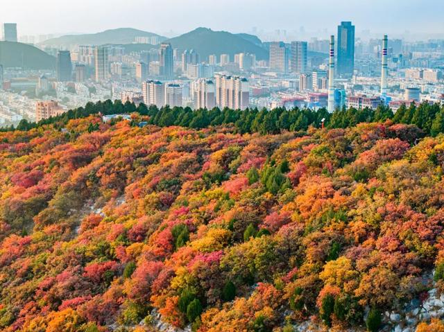 新华社聚焦+国家地理推荐！济南蝎子山“鸳鸯锅”秋景太惊艳了！
