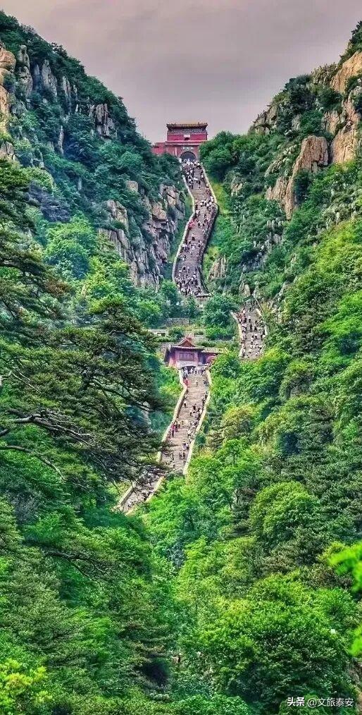第39届泰山国际登山节 | 山不老，情如初！30多年时光流转中，感受一座山与一座城的九月情书