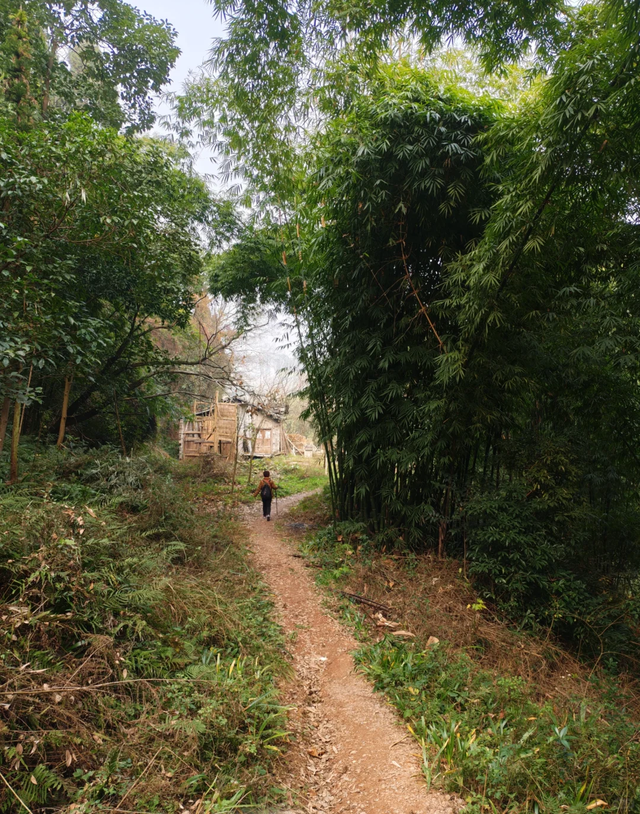 成都西门1h小众免费徒步地，野趣十足、值得N刷！