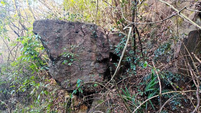 白鹤湾村与太子岭古道：一段镌刻历史与自然的千年传奇