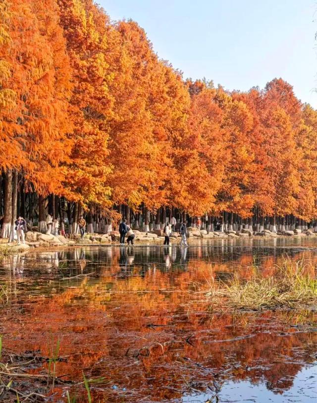 苏州处处的皆景！美！美！美！