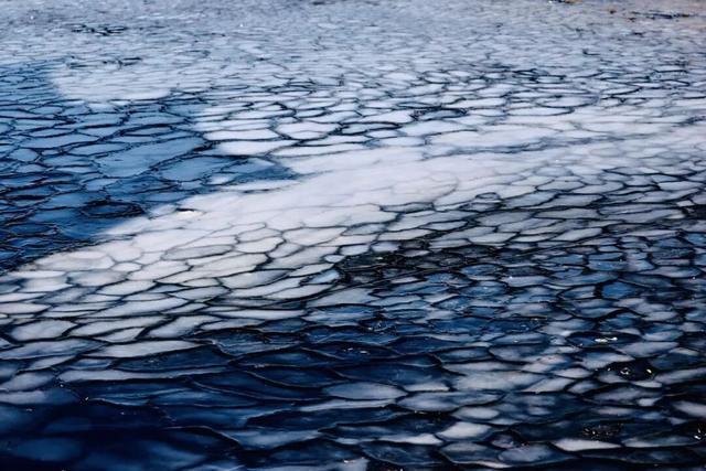 长春惊现“龙鳞”！绝非人工