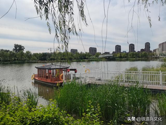 张诚 || 如意湖一瞥