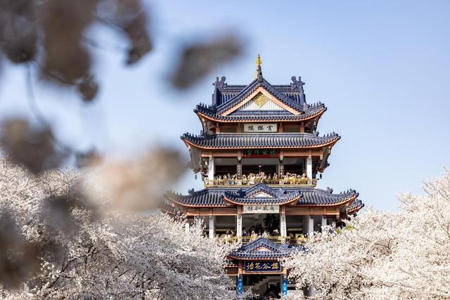 退休2年了，背着电脑去旅居