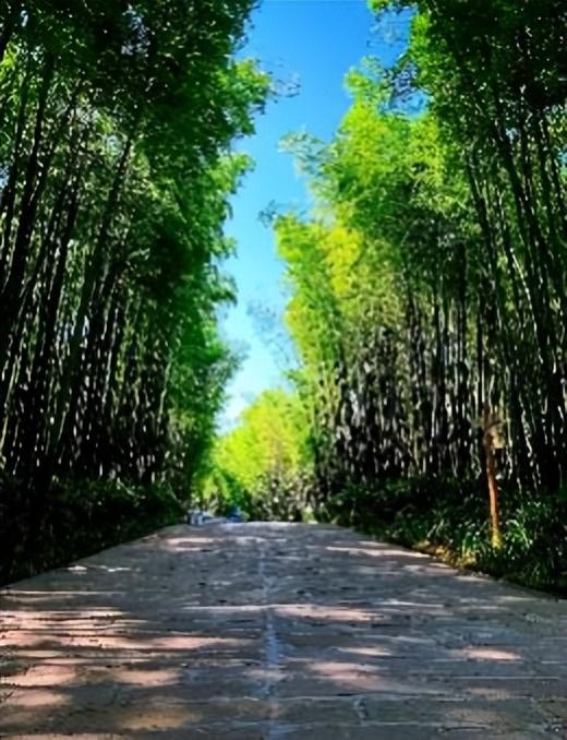 低至210元！西昌机场出发，这些航班快冲→