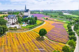 小心！100+机器人来武汉了图片