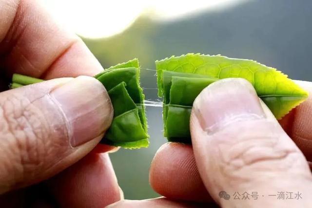 古驿道上峡口，清朝知府写了诗，还有取金匾、飞龙寺等传奇故事