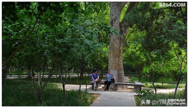 山东行游影记（17）—济南山东大学（四）