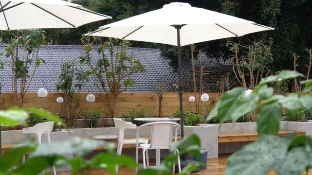 思茅打卡全攻略！这些宝藏点位 茶咖食宿玩一站式承包 | 有一种叫云南的生活